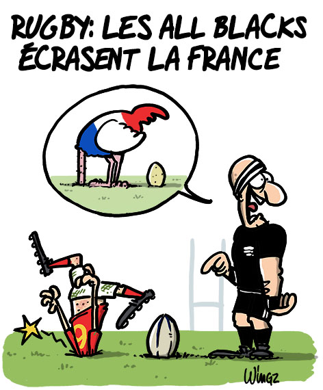rugby bleus nouvelle zélande kiwi